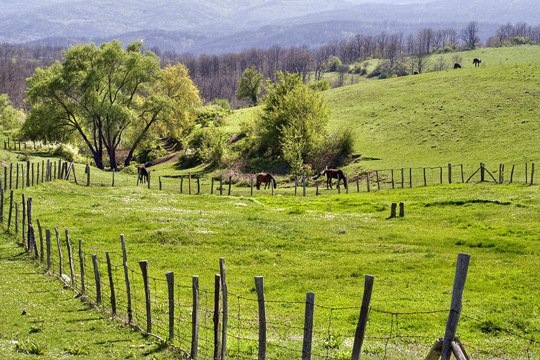 The Strandzha in south-eastern Bulgaria, above the town of Sredets