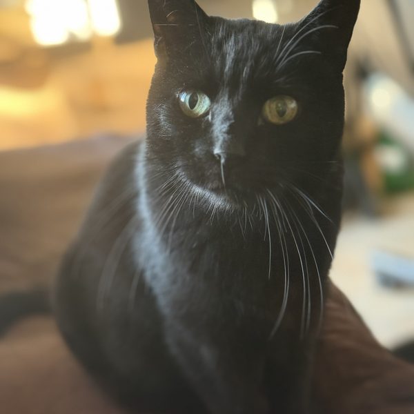 Mama