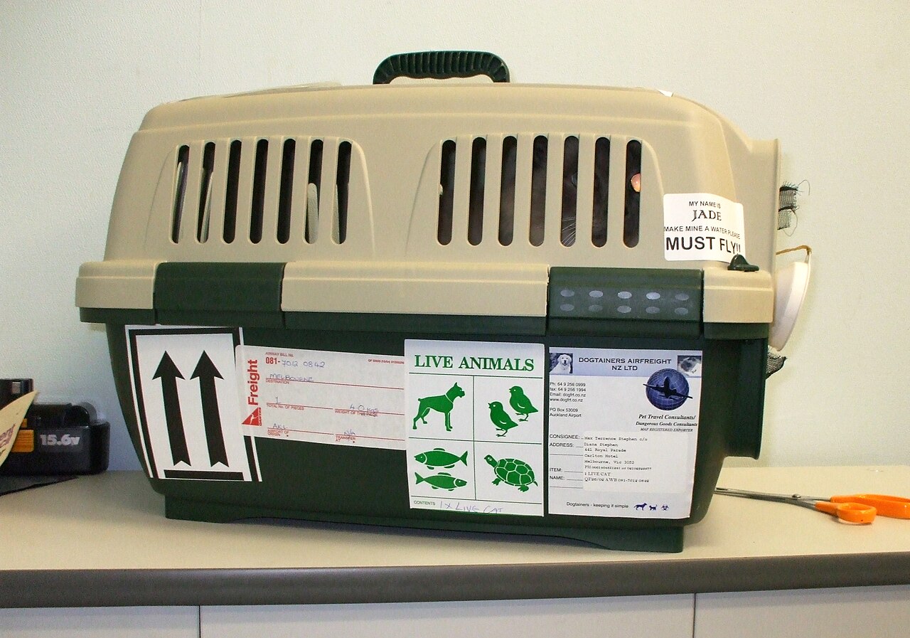 An IATA-compliant pet transport crate, the type used for hold and cargo travel